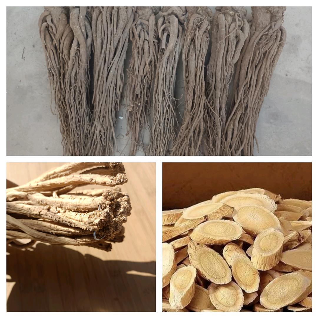 西北小乔野山货 【山货养生】