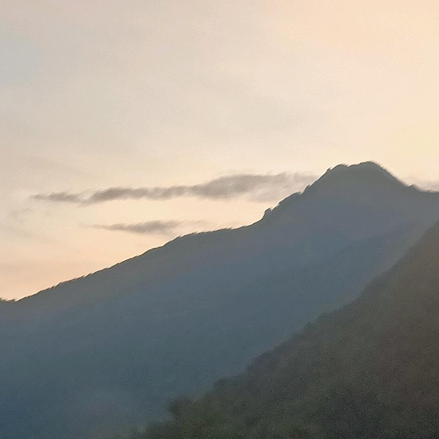 小d瓜