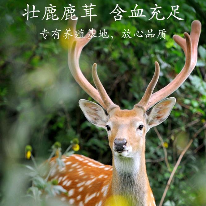 用户1546757275367