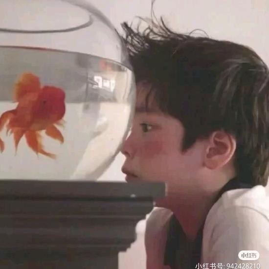 小菜一壶^=^