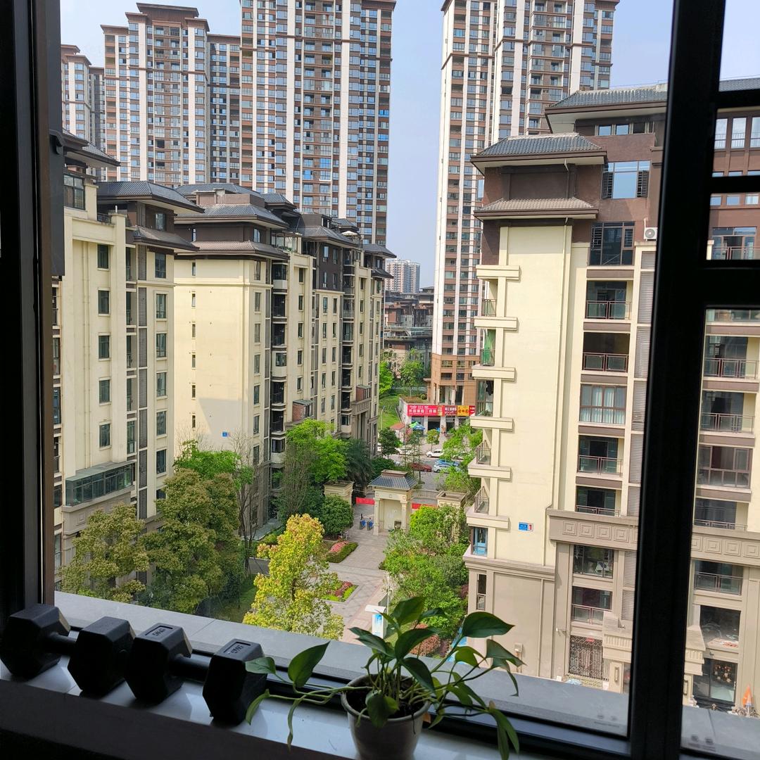 京东家电杨英