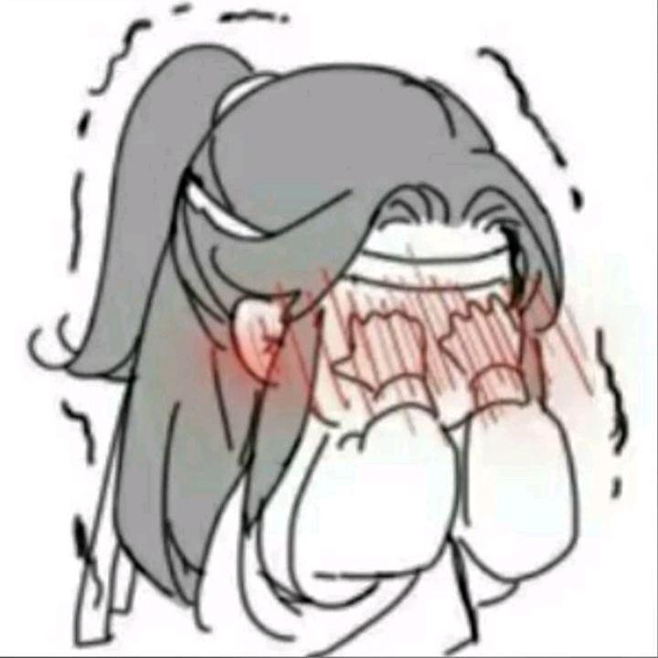 忘羡一生推（555升级版）