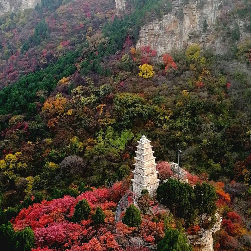 缘来是您