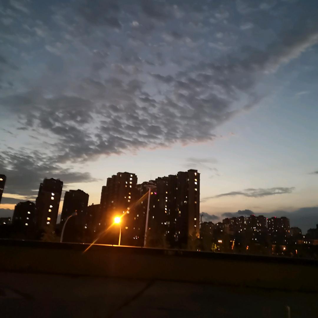 军