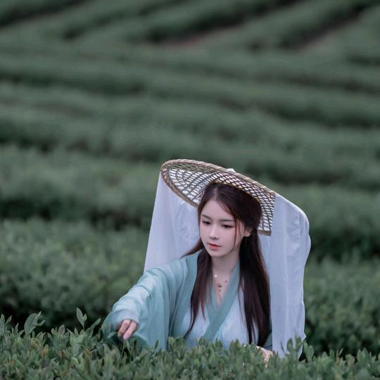 愿得一人心