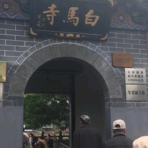 迷茫