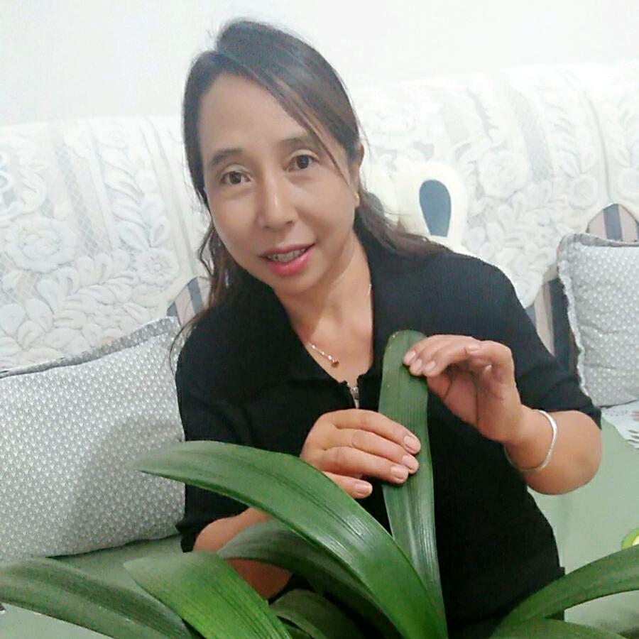 圆圆夫妻