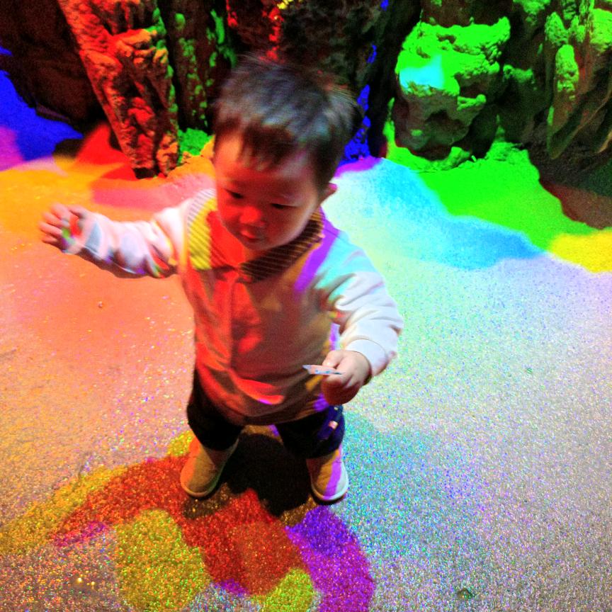 憬懂未来