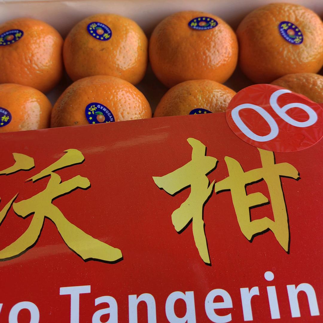 水果大亨🍊🍅🍒🥝🍈