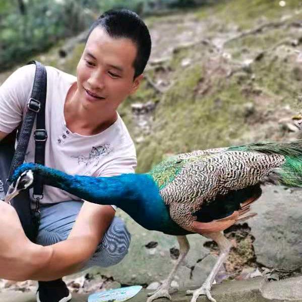 宜宾装修小强子