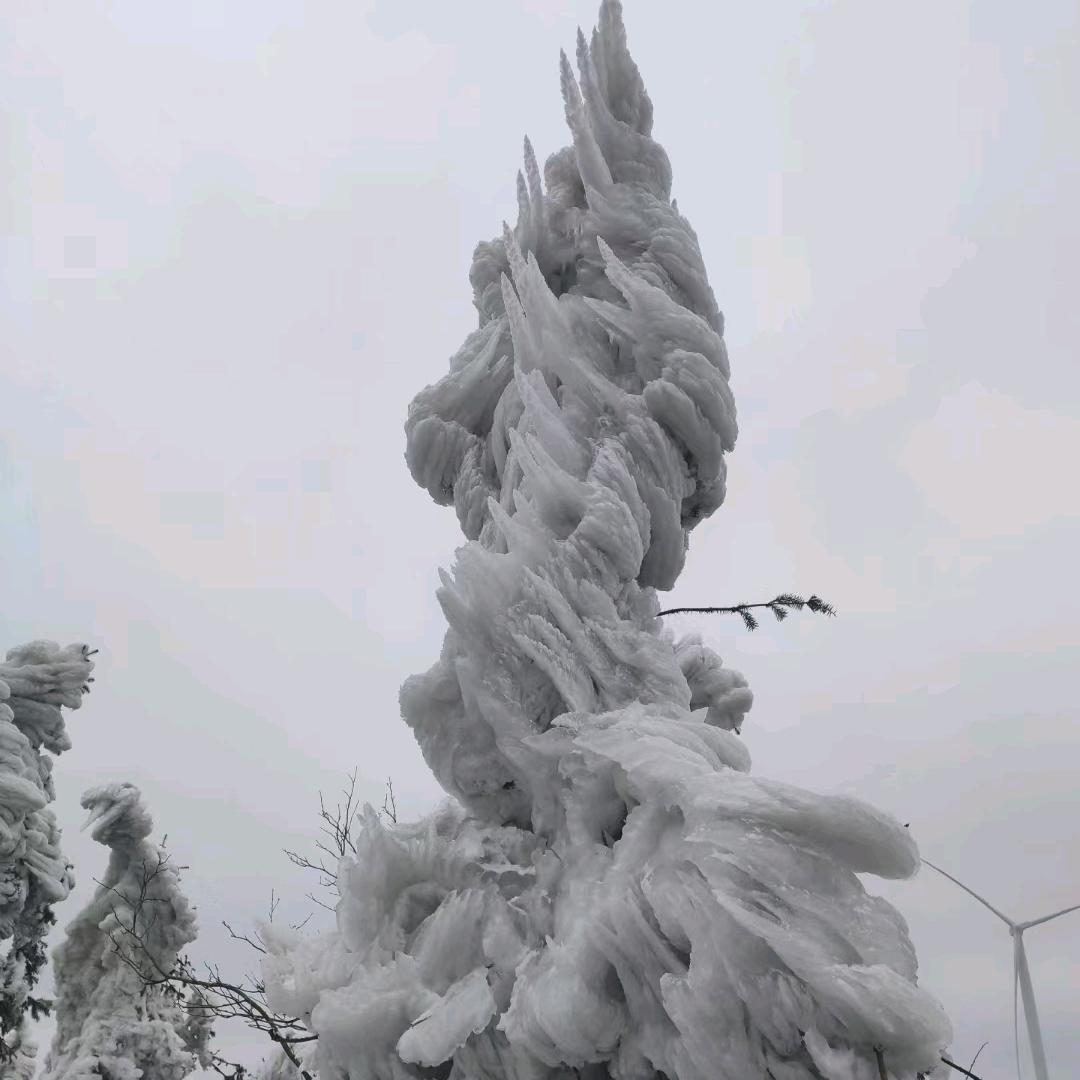 @82652352