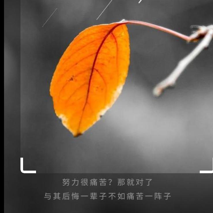 笑颜