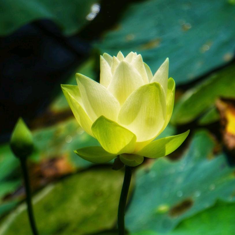 💞༊快乐🙏幸福᭄💞
