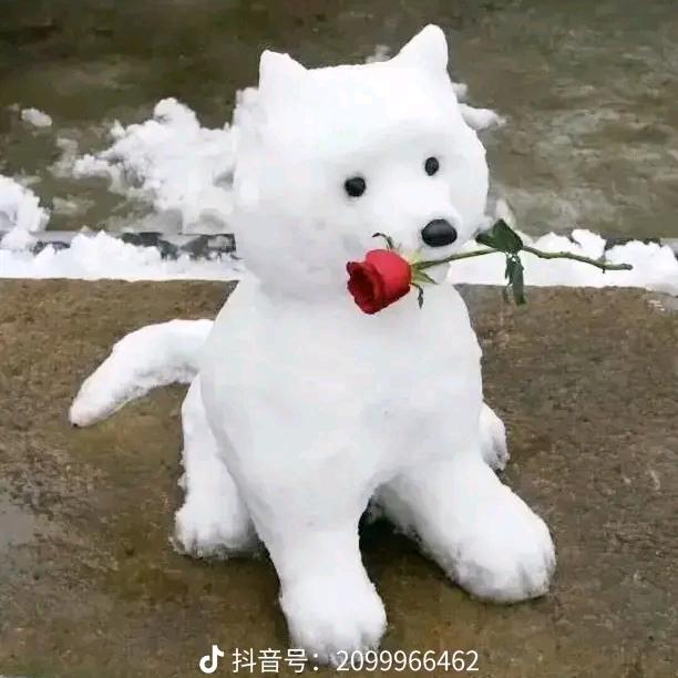 开开心心过好每一天