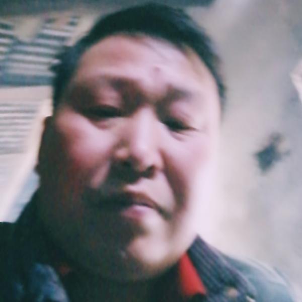 贺子旭