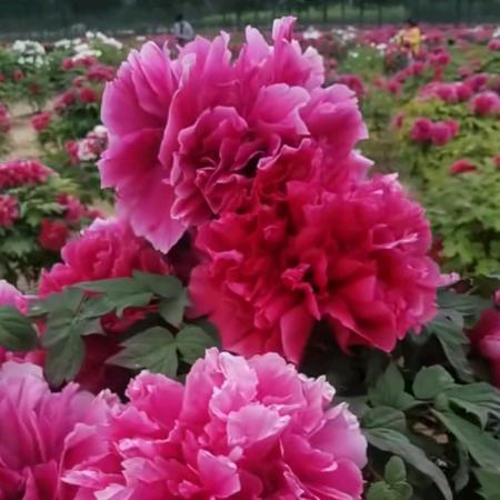 遇👫见👫你👫真👫好👫