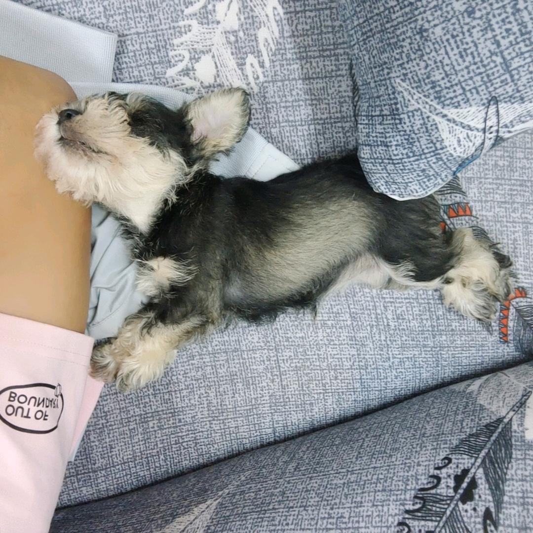 来一瓶可乐