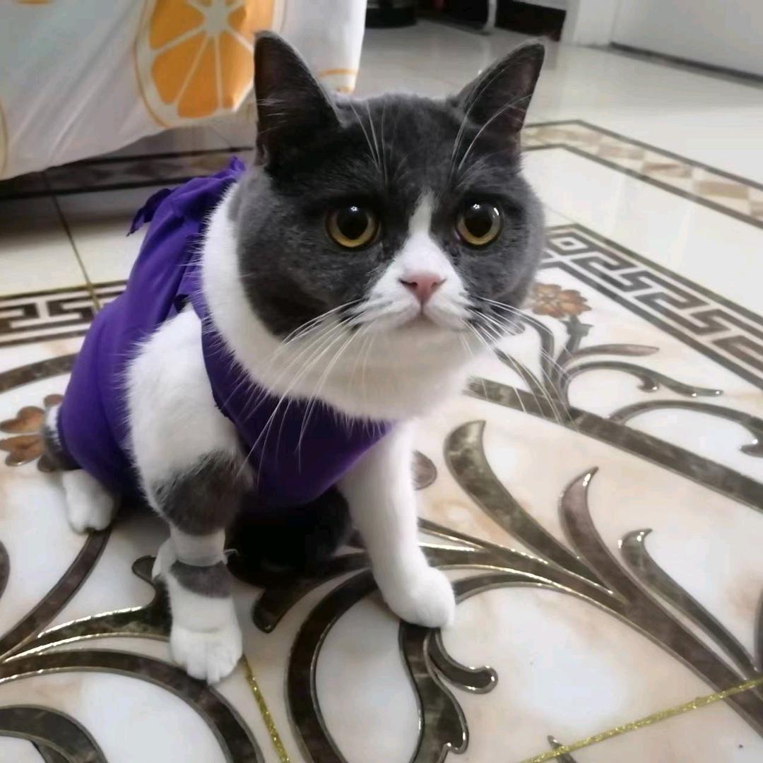 雅雯