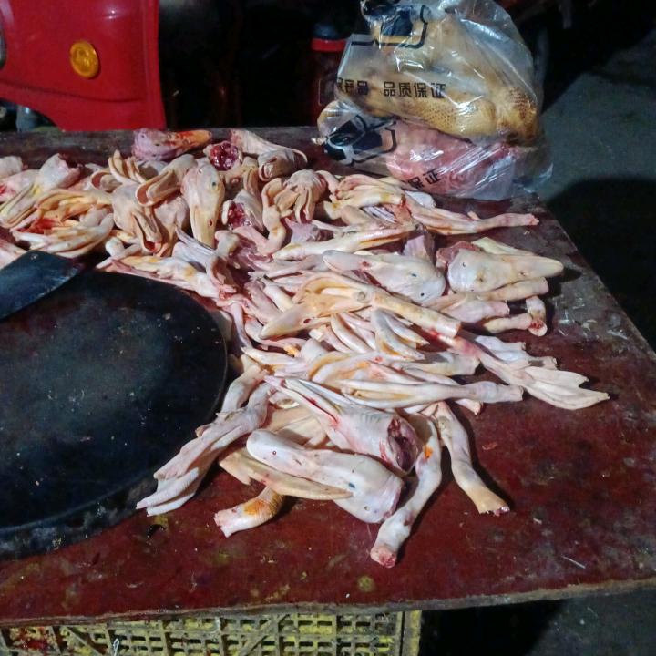 一生风狂沿滩镇人民村