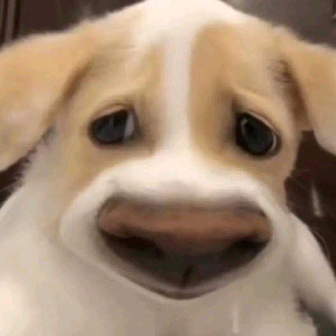 苏北桥