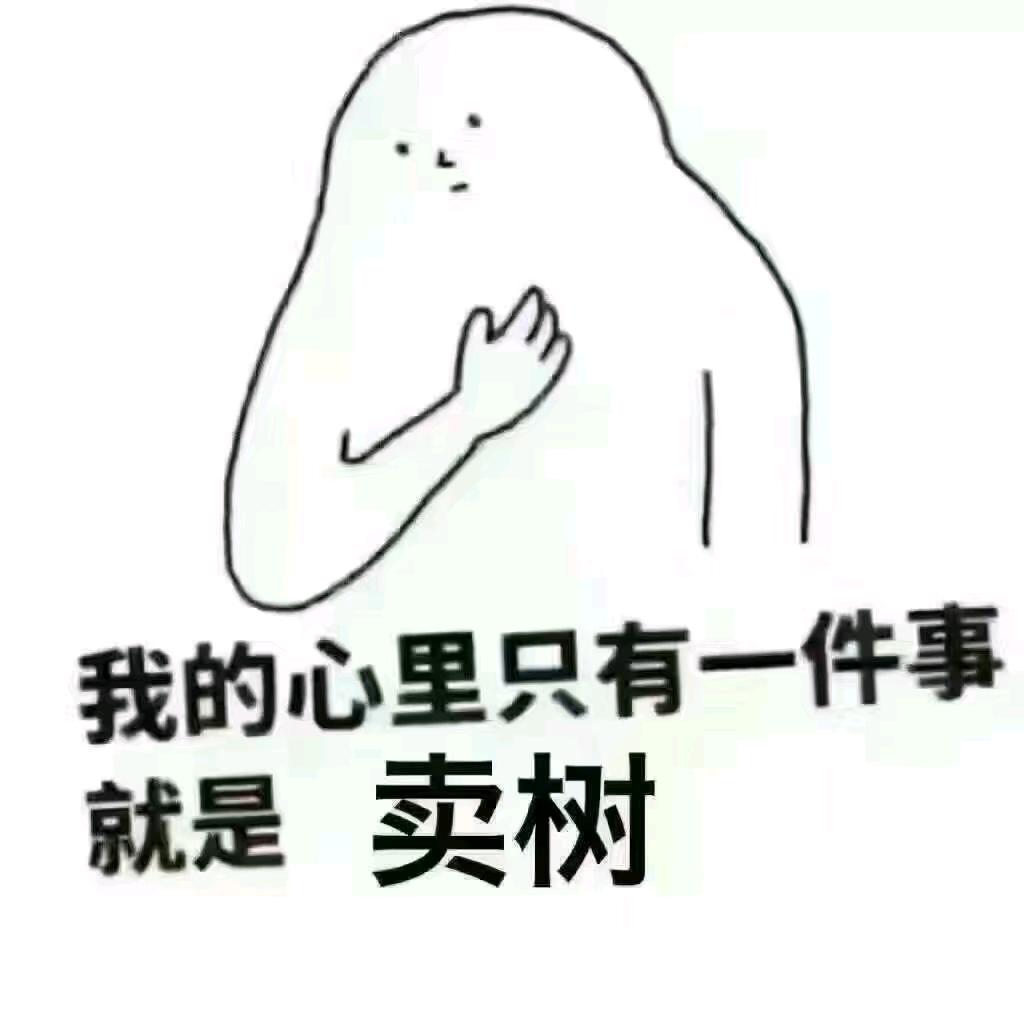 光头哥木材