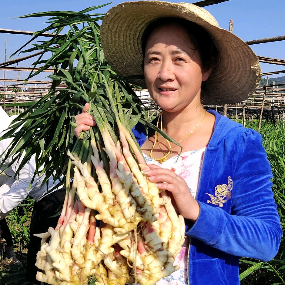 铜陵阿朵白姜发展有限公司