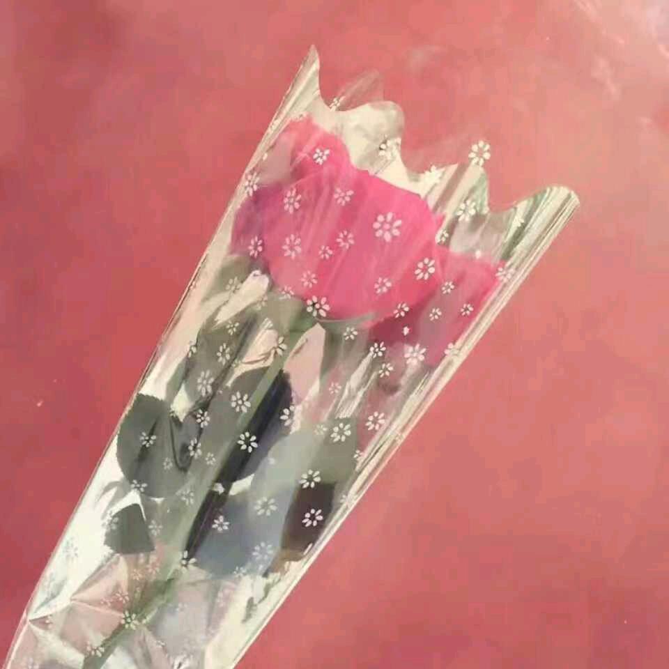 死鬼你好坏