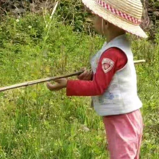 客家钟姐在农村