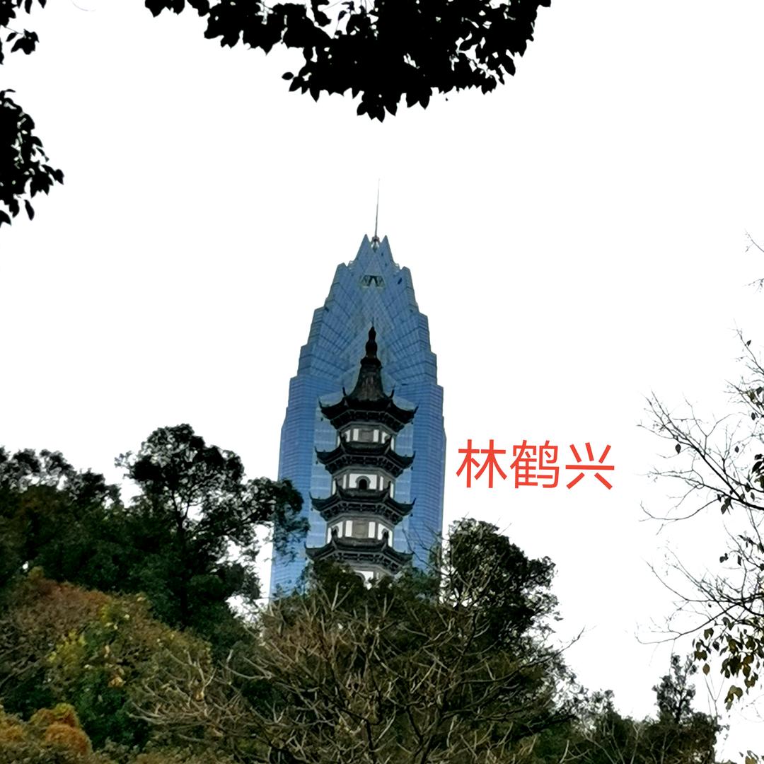 有缘千里抖音会