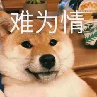 我是狗才怪