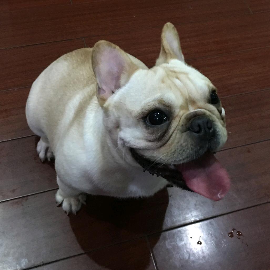 依笑而过