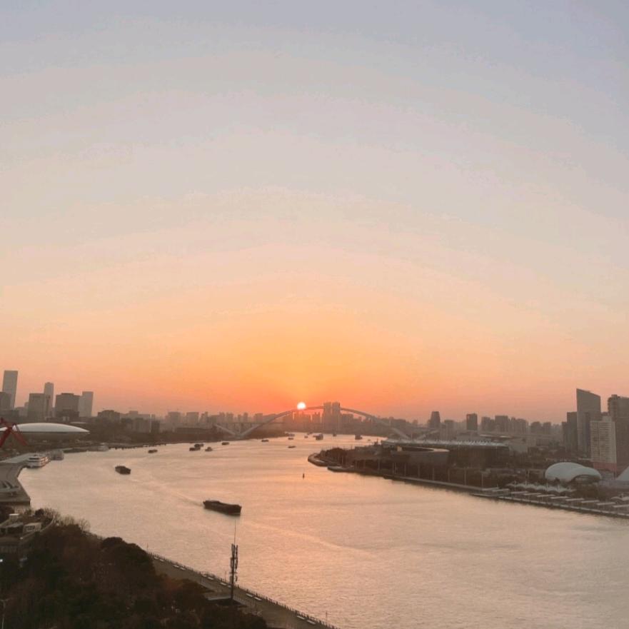 我要养小鸡毛