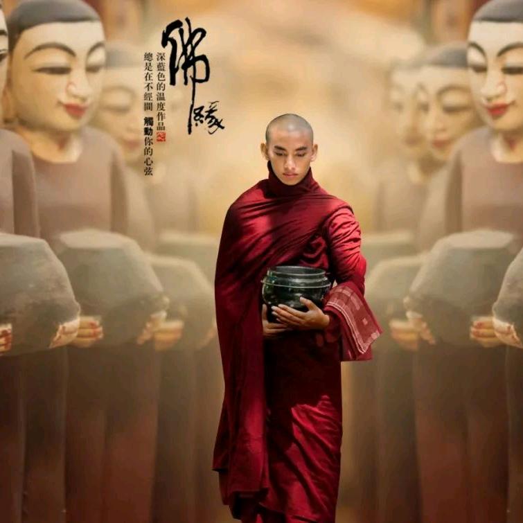 苟哥