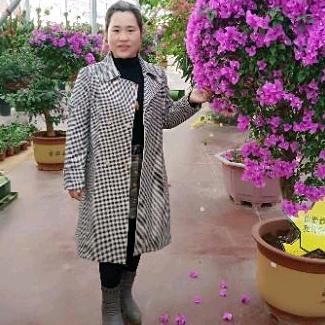 美丽的谎言