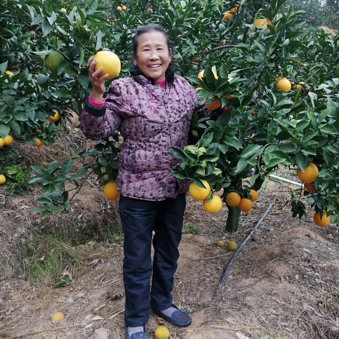 @63刘平英🌹🌹