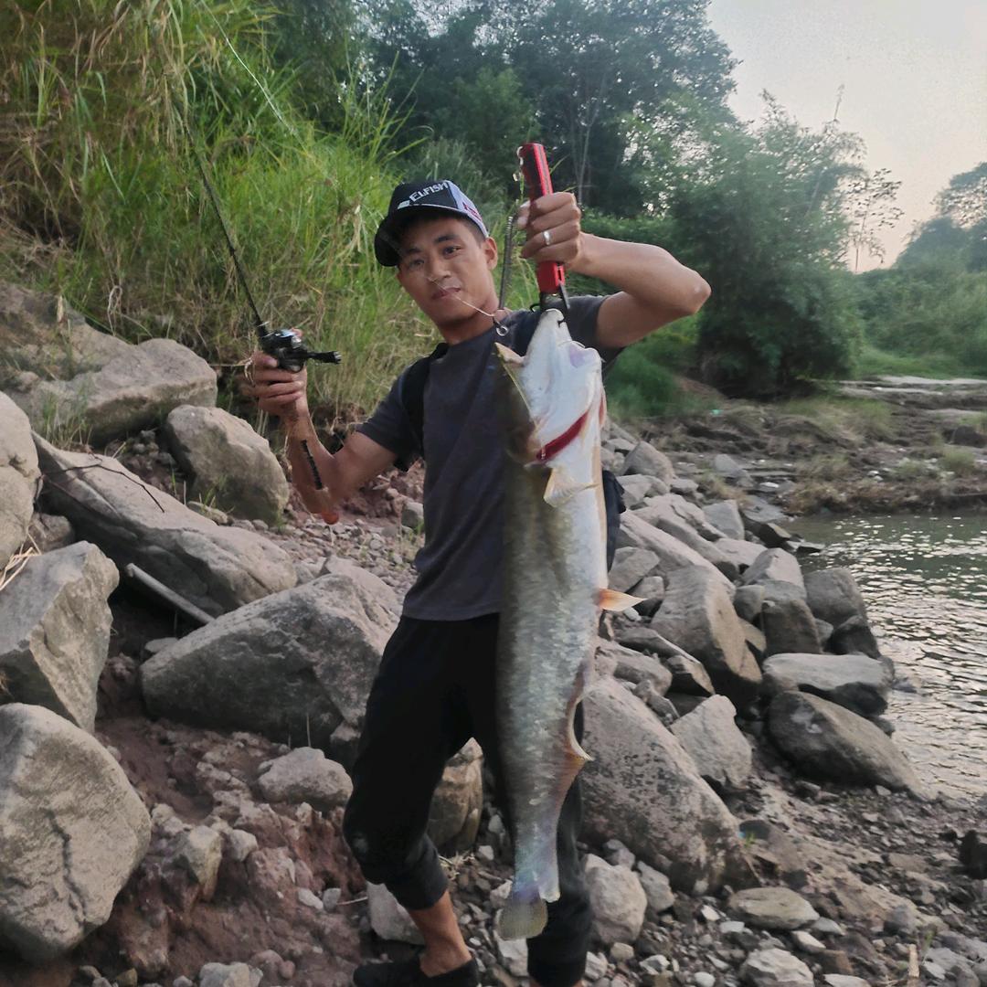 路亚不会路 还是不会漏