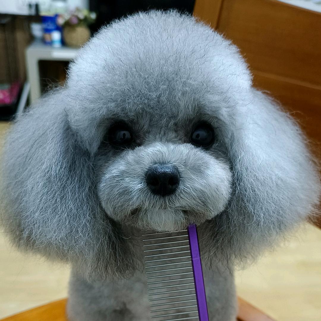 欢欢永远乐乐