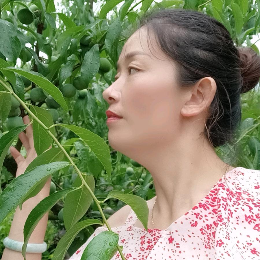 吴红姐