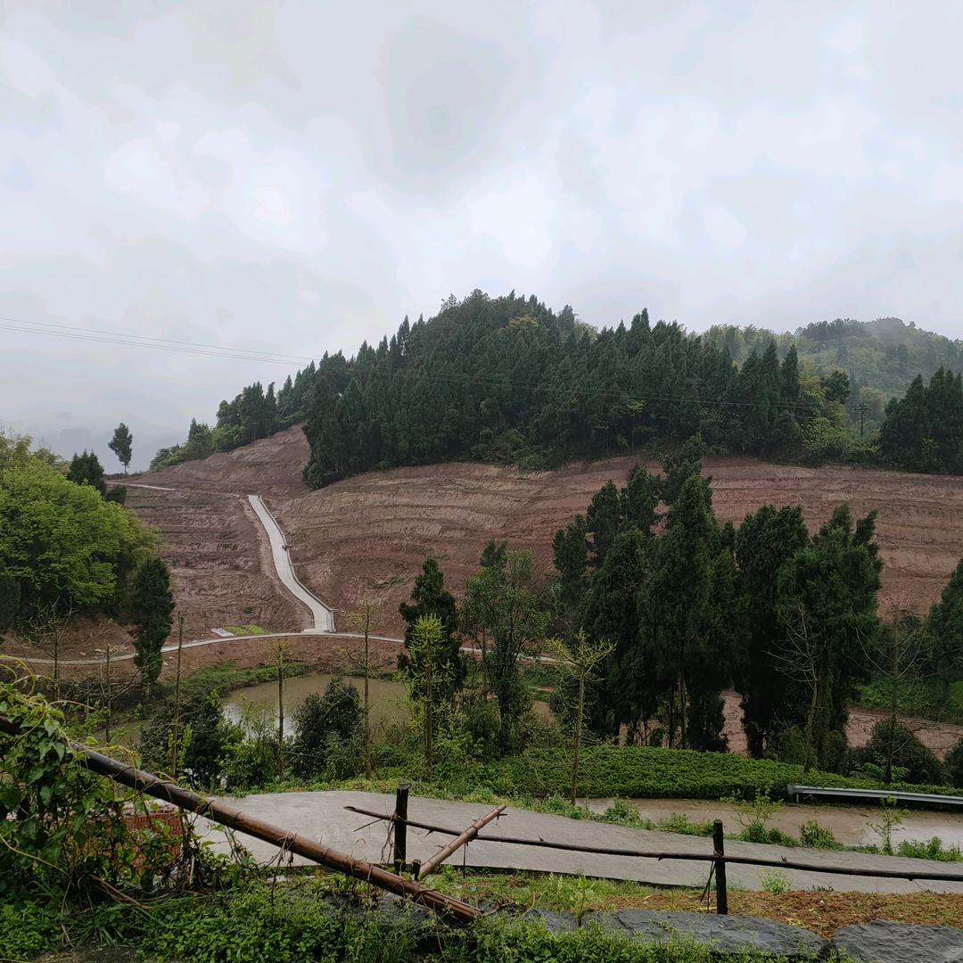 梦冰