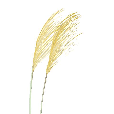 沉浮