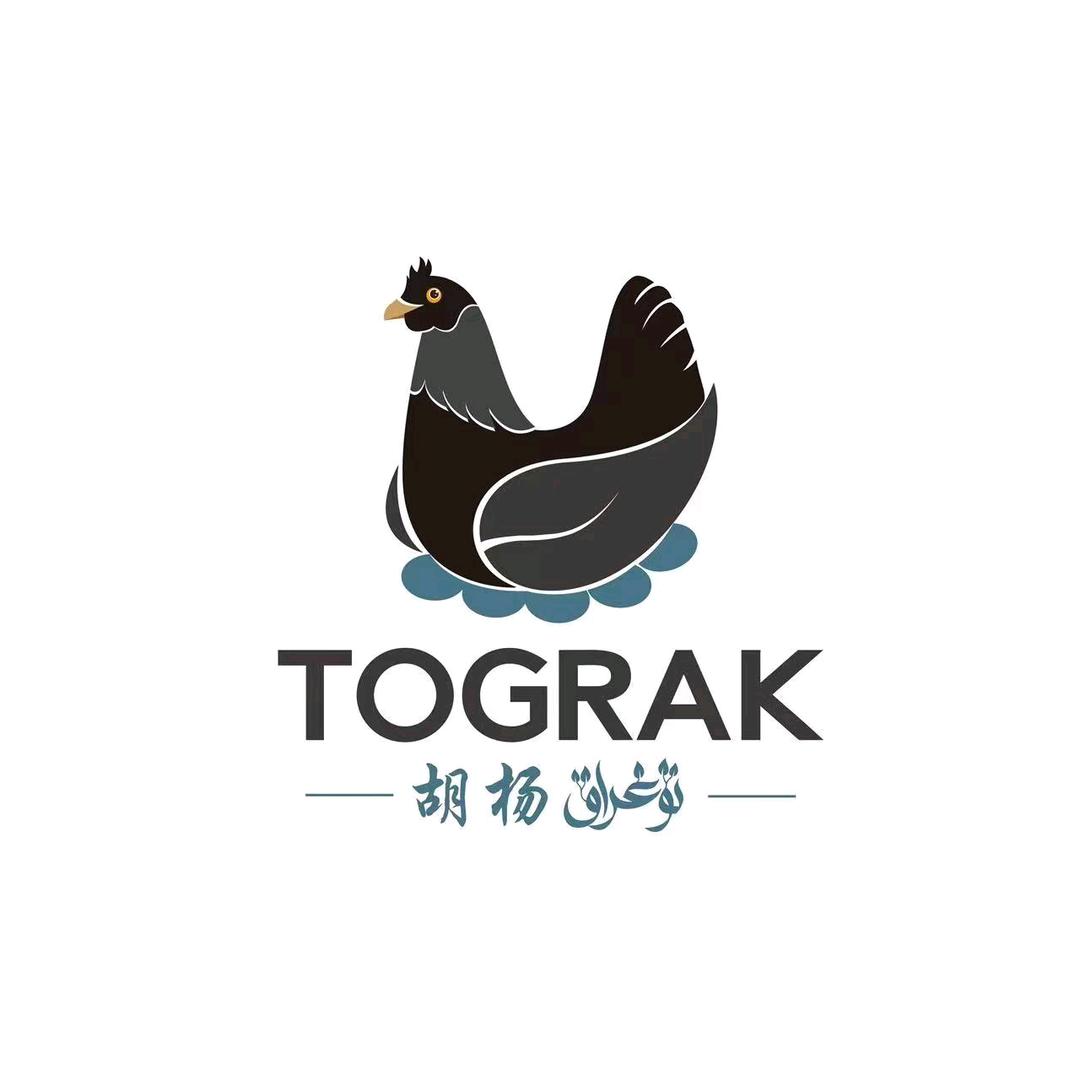 麦麦提艾力