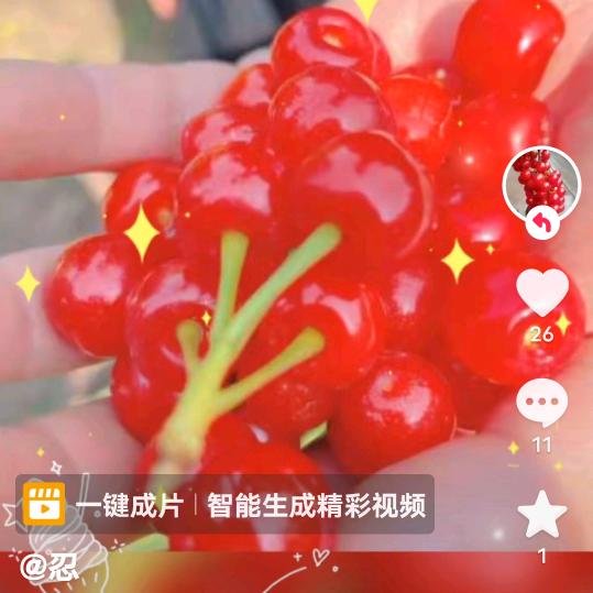 郑老十