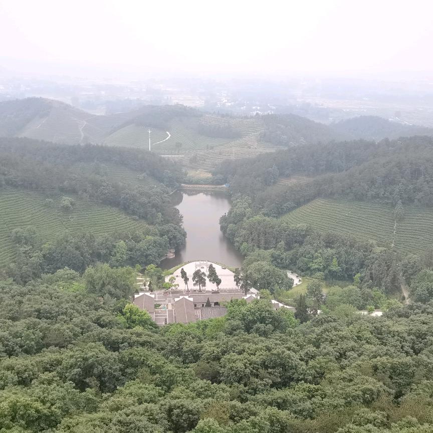 自找的痛别喊暖白