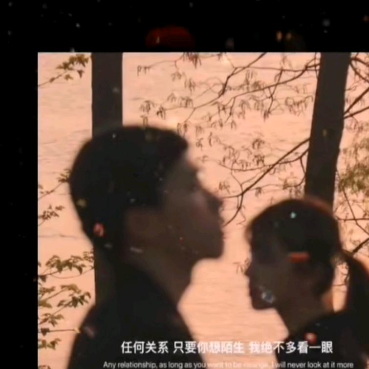 卖塑料的小萌鸡😄