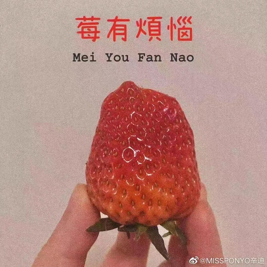 日光温暖不及你