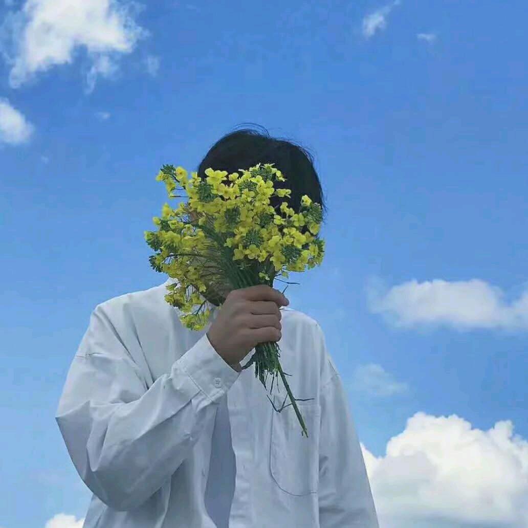 许柒安