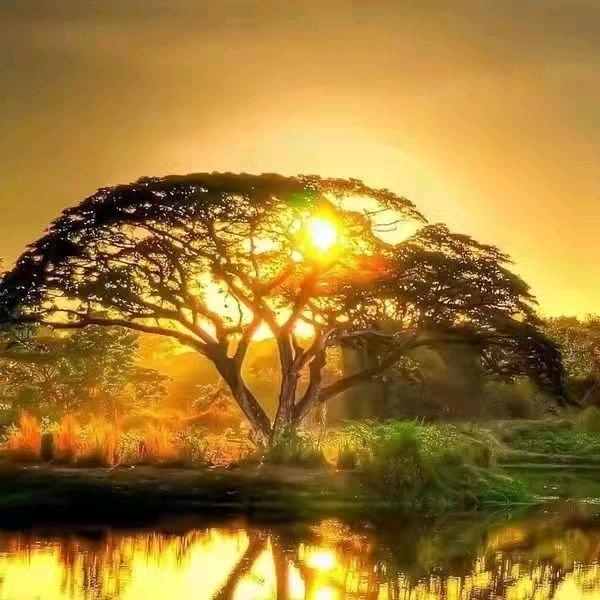 江磊辉鸣（正能量）