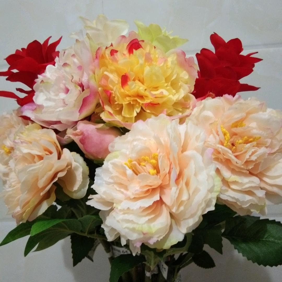 一花一世界☜
