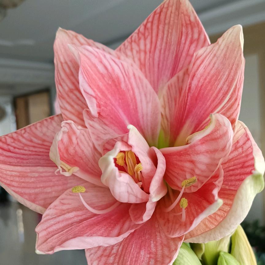 俊🧚‍♀️🧚‍♀️