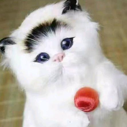 清水芙蓉